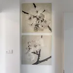 Enjoy And Fly